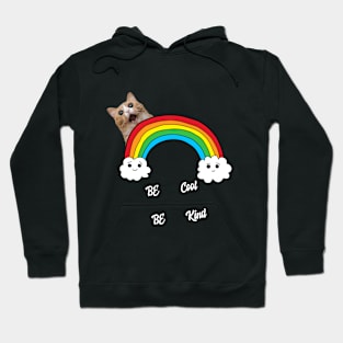 Rainbow Cat Hoodie